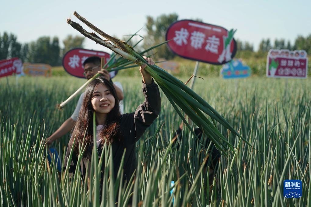 最火菠菜论坛